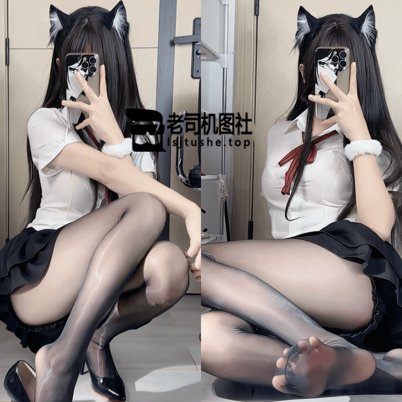 宅宅猫3